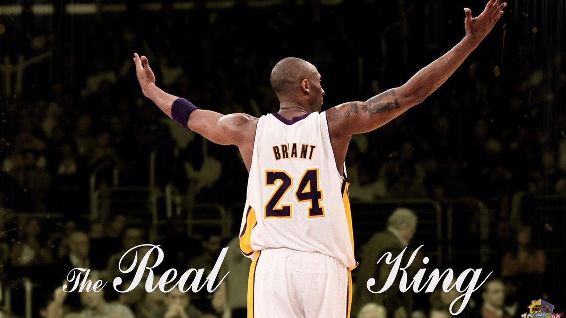 门迪的利刃与智利的铁蹄，当南美风暴碾碎英格兰玫瑰